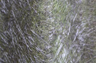 Birch Vale fibreglass roof work